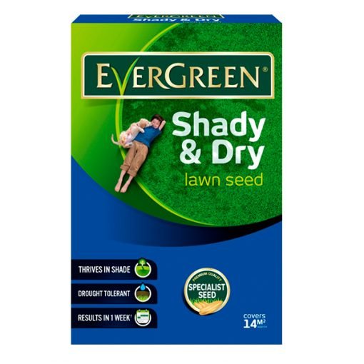 Shady n Dry Lawn