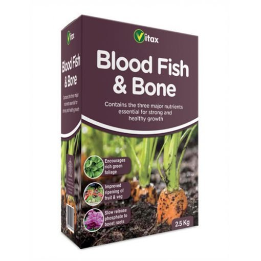 Blood fish n bone