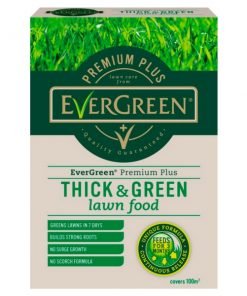 thick n green Lawn